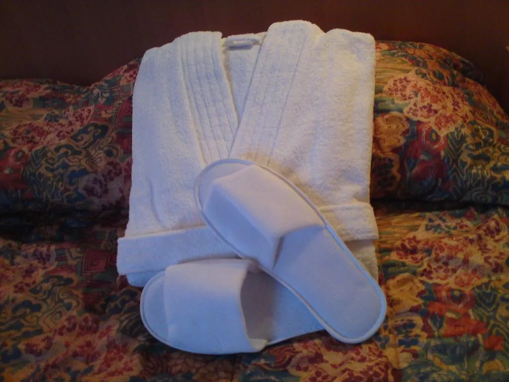 Hotel Scharff 贝尔多夫